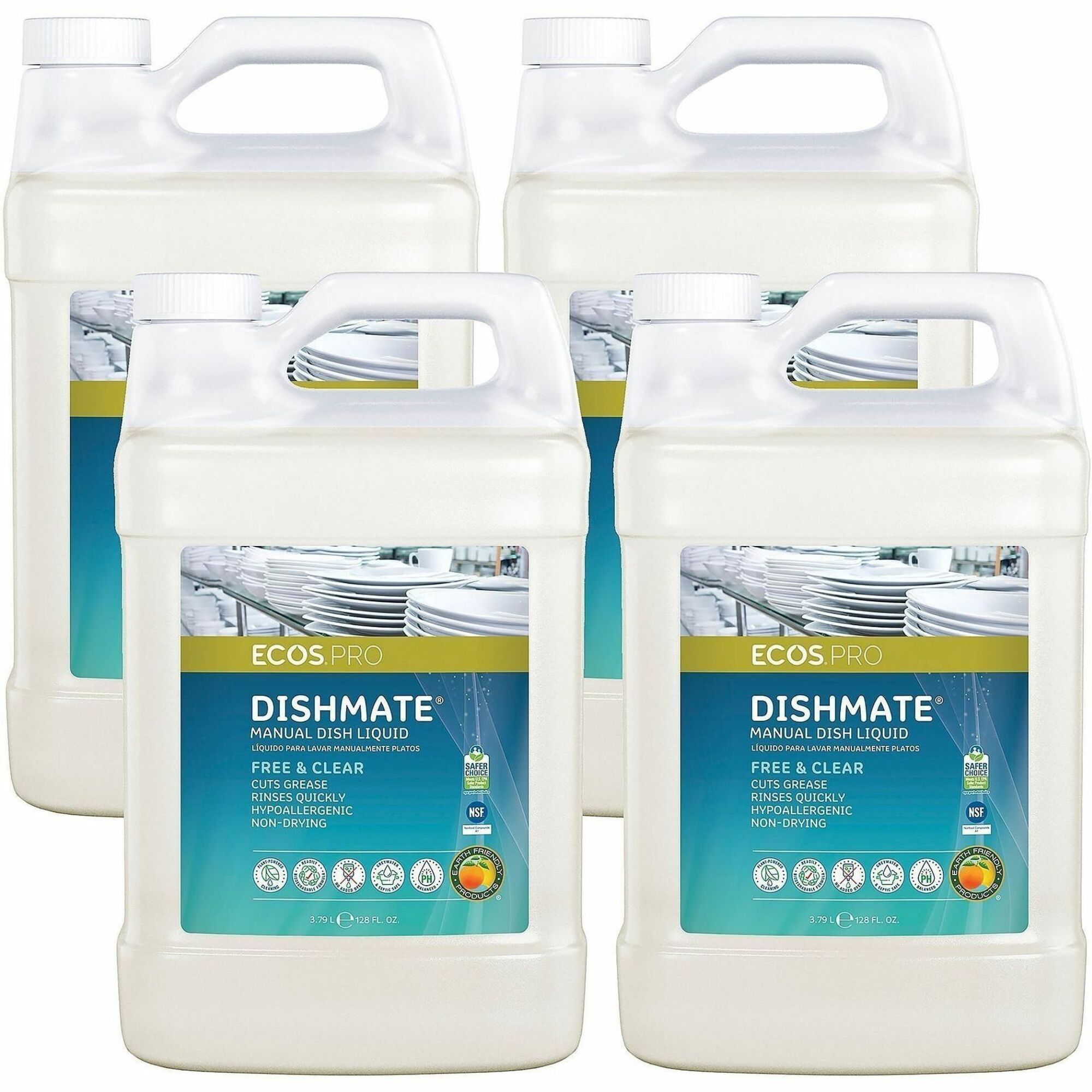 DISHSOAP;LIQUID;F&C;1GAL