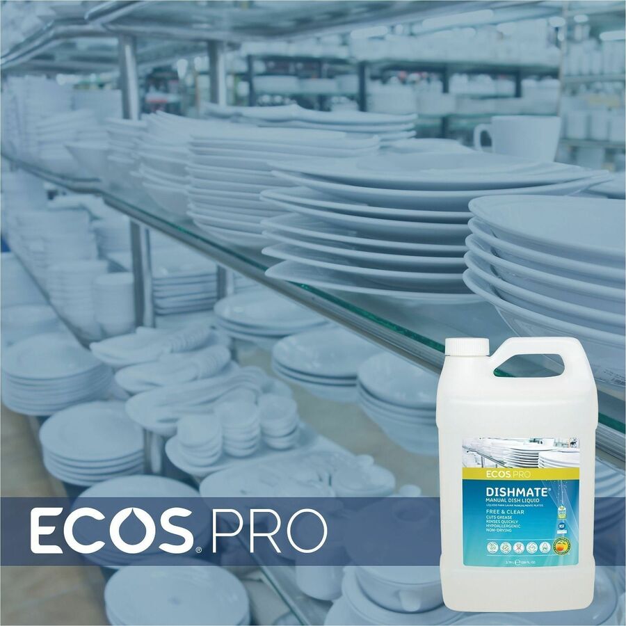 DISHSOAP;LIQUID;F&C;1GAL