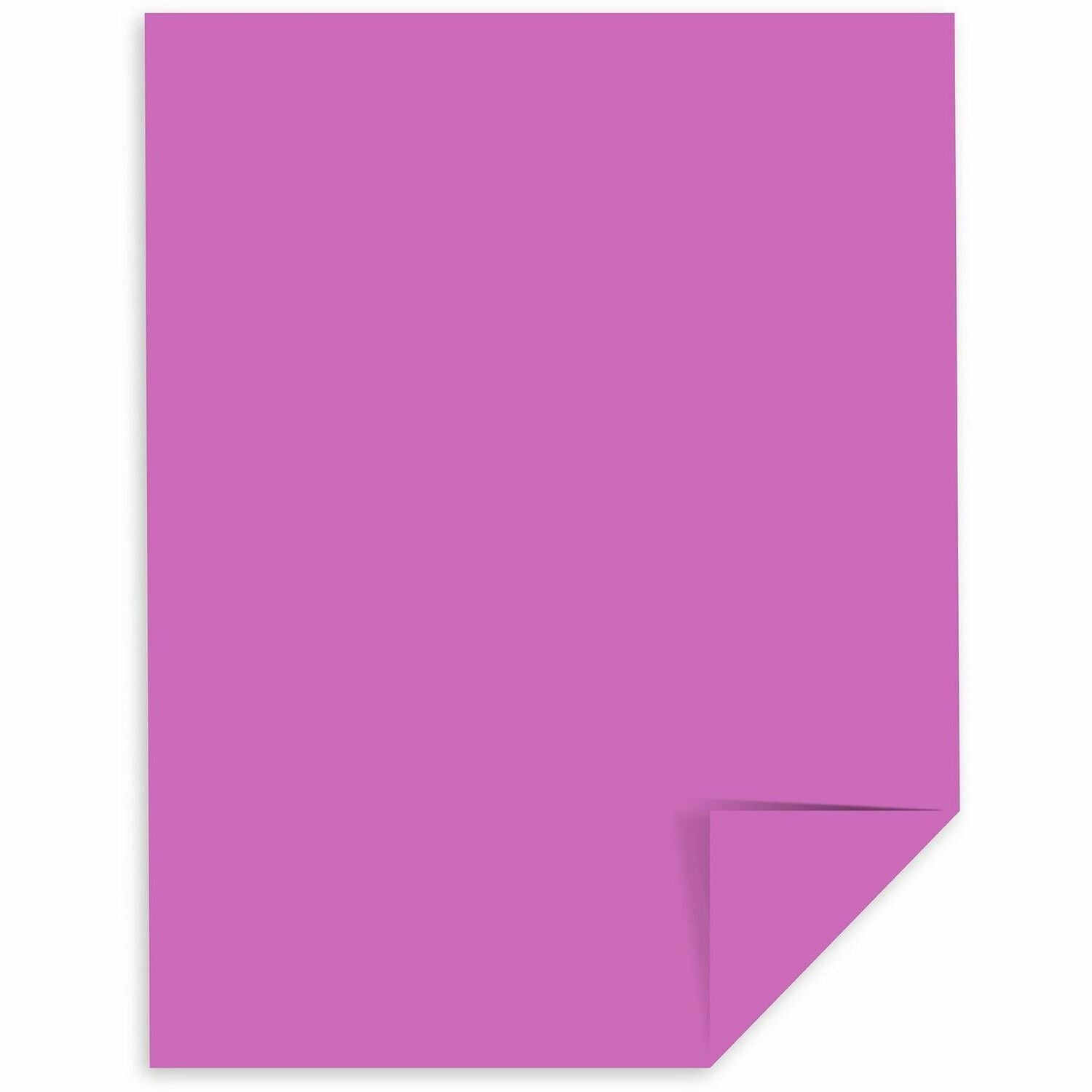 Paper;Astrobrt;65#;Orchid