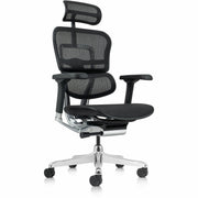 Eurotech ErgoHuman Gen2 Executive All-Mesh Chair, Black, Mesh Seat & Back, Fiber Polymer Composite Frame, 5-Star Base, Adjustable Armrests, Headrest, 1 Each