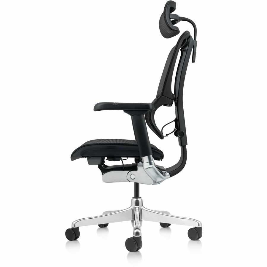 Raynor Ergohuman Xtreme Executive Chair