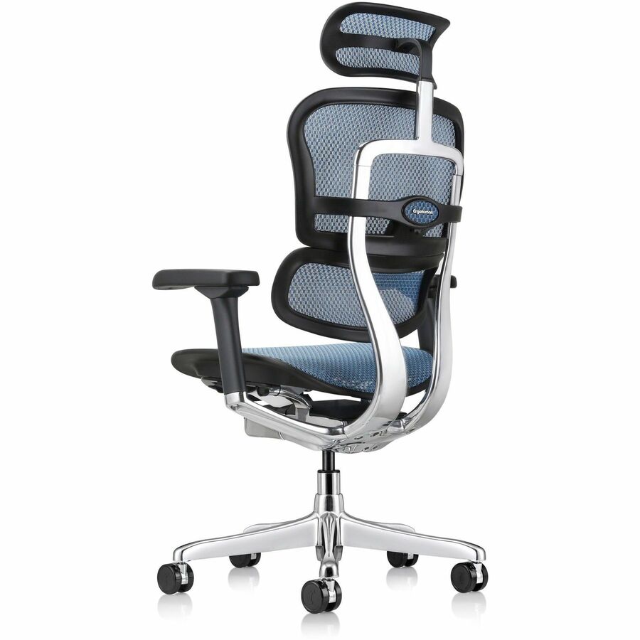 Eurotech ErgoHuman Gen2 Executive All-Mesh Chair, Black Mesh Seat & Back, Black FPC Frame, 5-Star Base, Blue Accents, Adjustable Armrest, Headrest, 1 Each