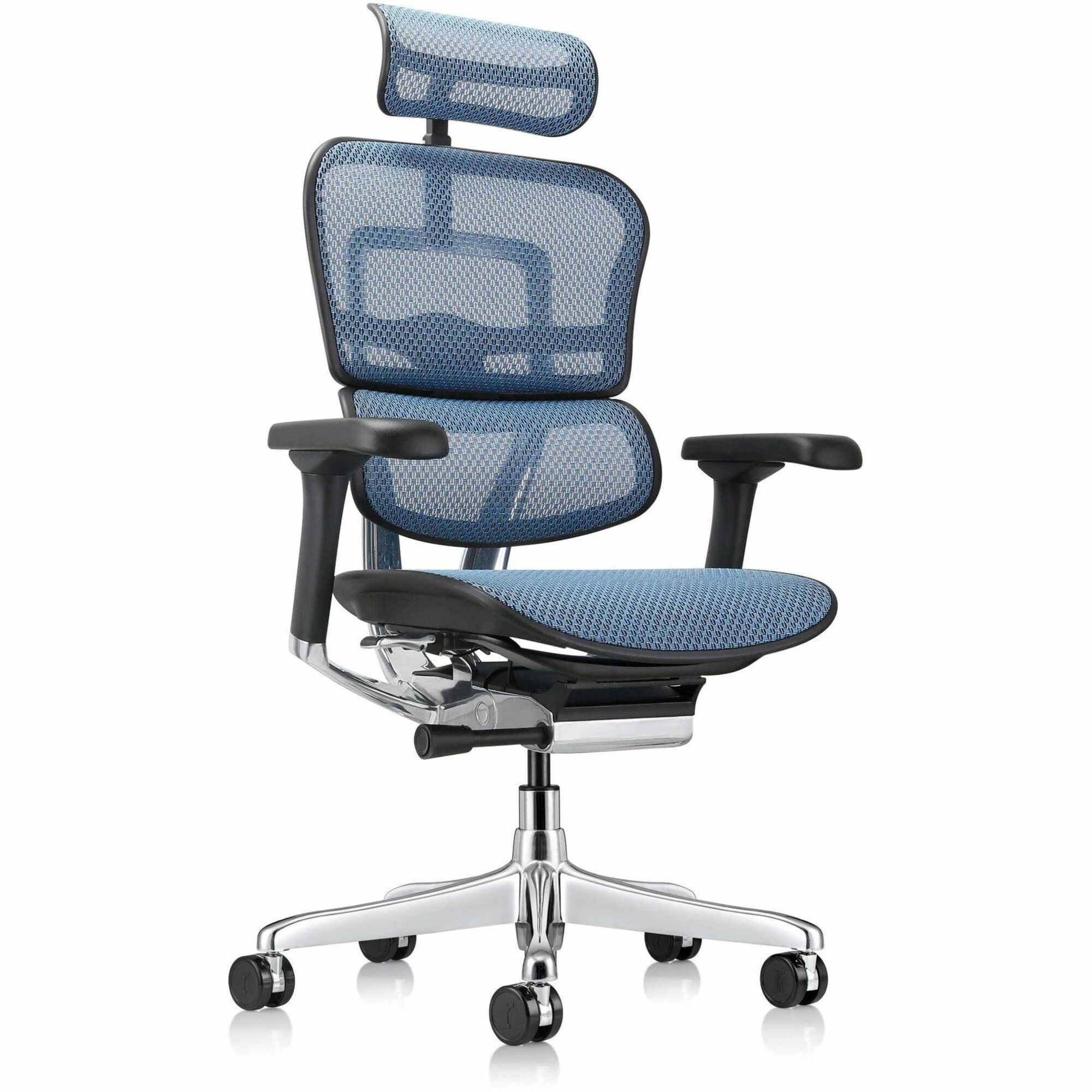 Eurotech ErgoHuman Gen2 Executive All-Mesh Chair, Black Mesh Seat & Back, Black FPC Frame, 5-Star Base, Blue Accents, Adjustable Armrest, Headrest, 1 Each