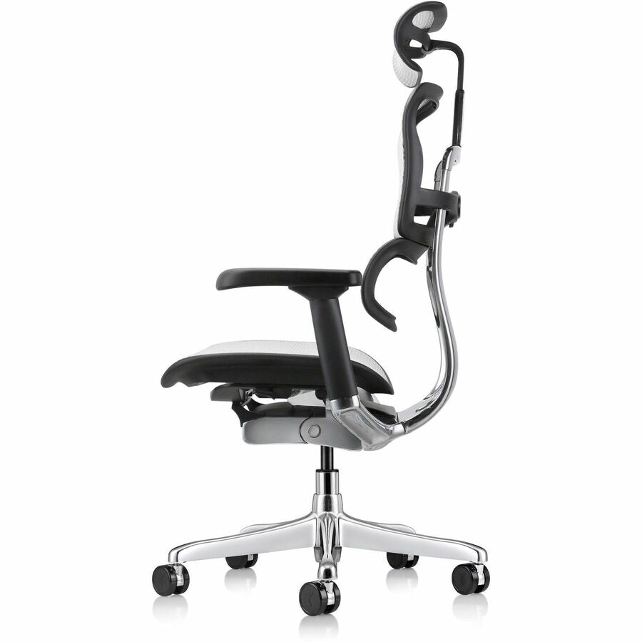 Eurotech ErgoHuman Gen2 Executive All-Mesh Chair, Black Mesh Seat & Back, Black FPC Frame, 5-Star Gray Base, Adjustable Armrest, Headrest, 1 Each