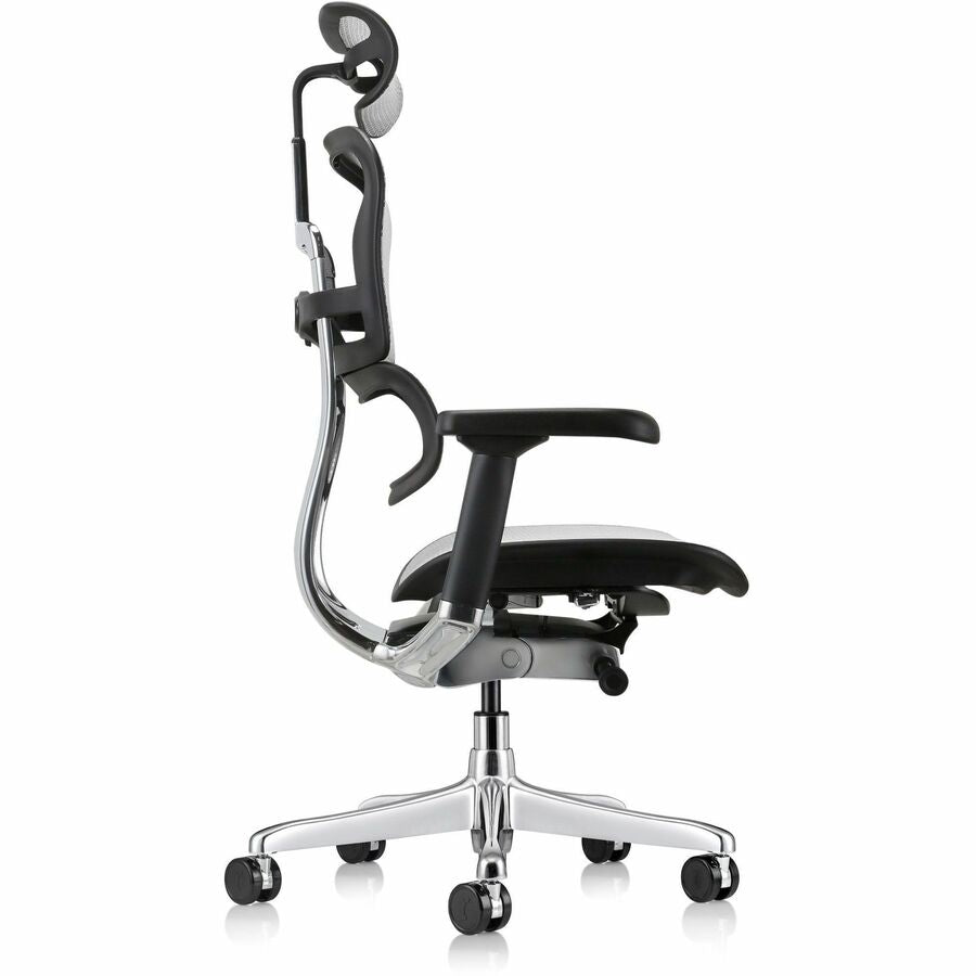 Eurotech ErgoHuman Gen2 Executive All-Mesh Chair, Black Mesh Seat & Back, Black FPC Frame, 5-Star Gray Base, Adjustable Armrest, Headrest, 1 Each