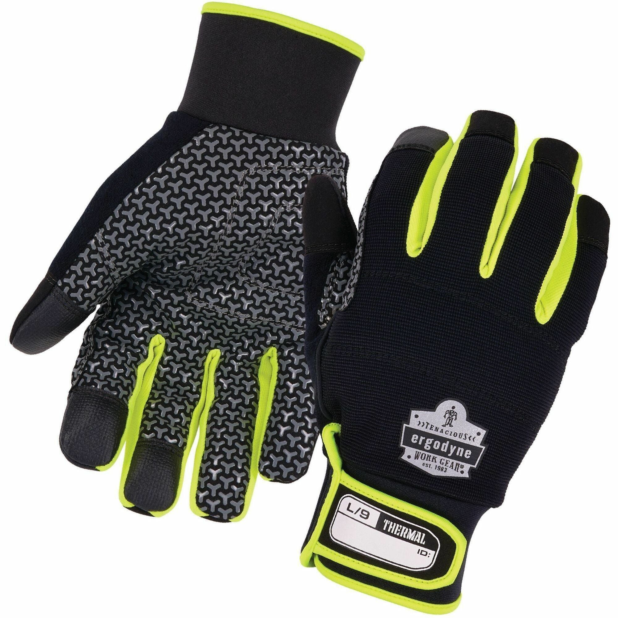 Ergodyne ProFlex 850 Insulated Freezer Gloves, XXS, Black, Neoprene, Touchscreen Capable, Reinforced Thumb Saddle, Excellent Grip, Lightweight, Machine Washable, 2 Pairs