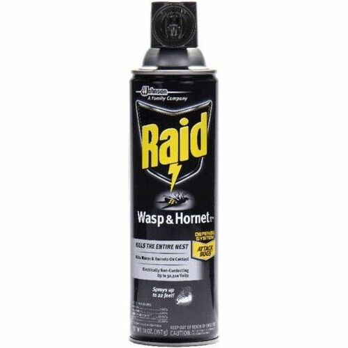 Raid Wasp and Hornet Killer 33, Spray, 14 fl oz, White, 1 Each