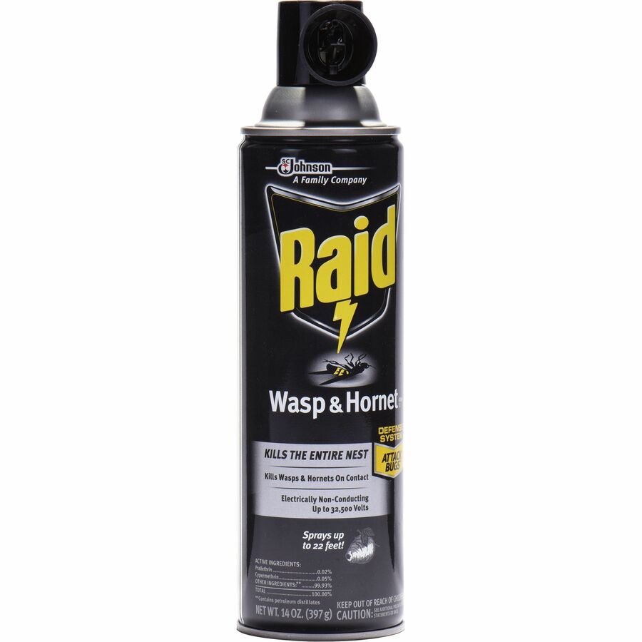 Raid Wasp and Hornet Killer 33, Spray, 14 fl oz, White, 1 Each