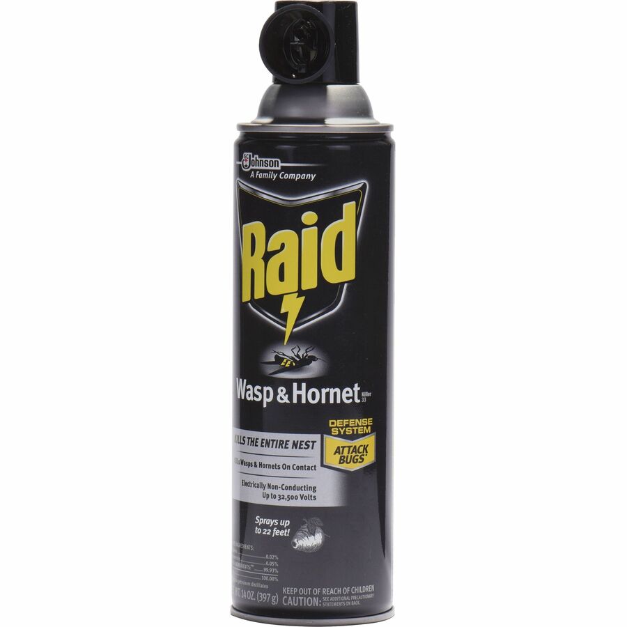 Raid Wasp and Hornet Killer 33, Spray, 14 fl oz, White, 1 Each