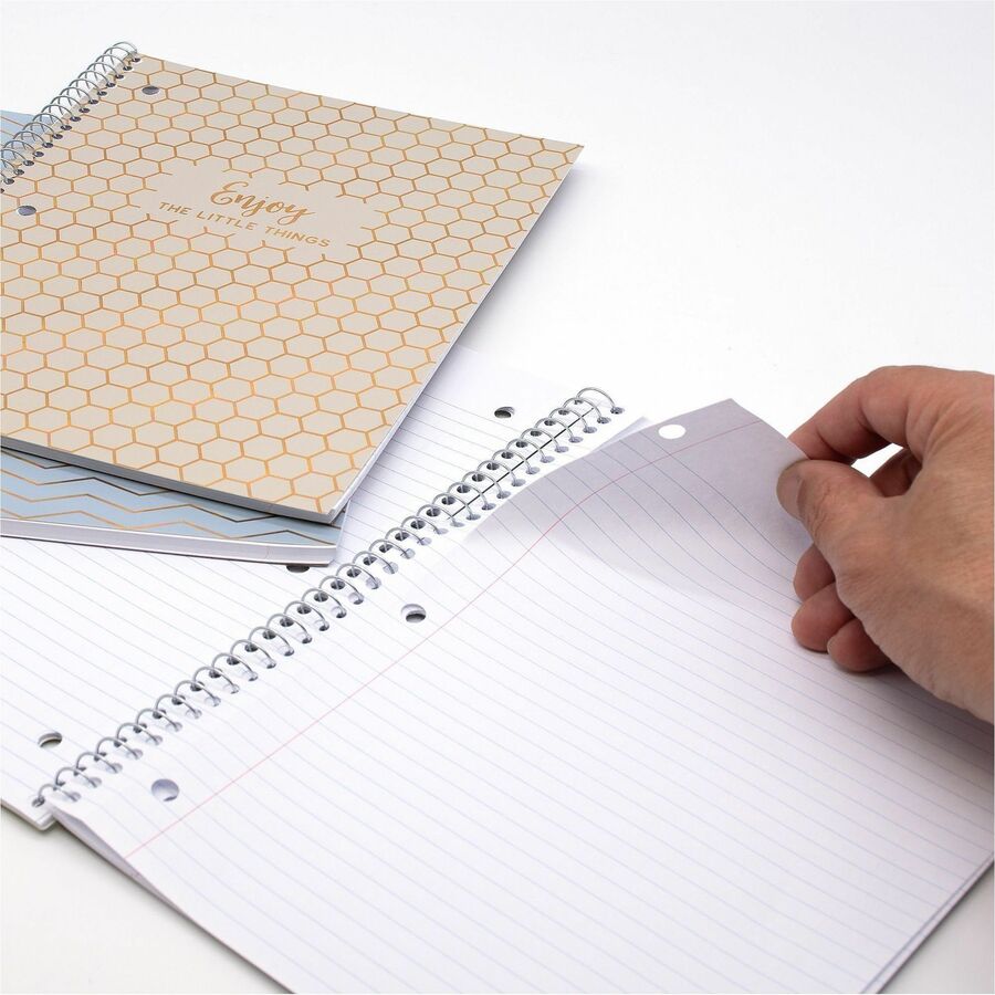Pukka Pads Haze Notebook