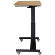 Rocelco Sit-to-Stand School Desk with Book Box