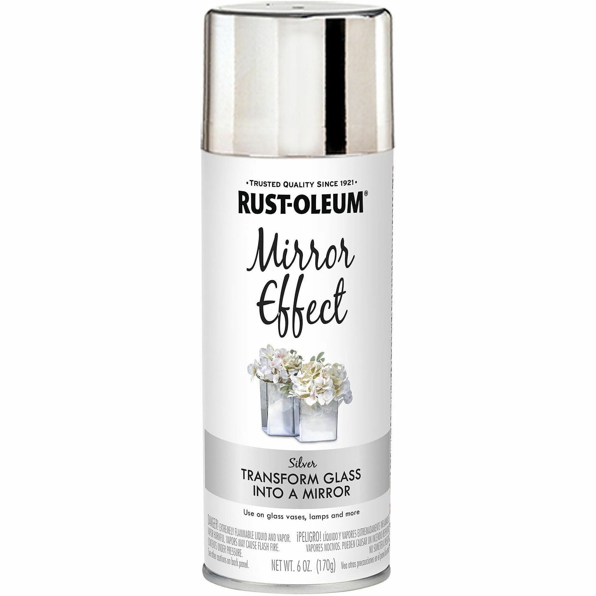Aerosol - Silver - 6 oz - 1 Each