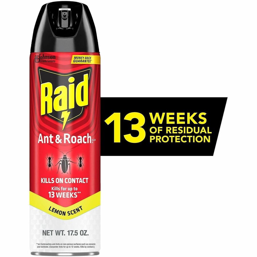 Raid Ant & Roach Killer Spray - Spray - Kills Ants, Cockroaches, Crickets, Earwig, Spider, Lady Beetle, Silverfish, Stink Bug, Bugs - 17.05 fl oz - Red - 1 Each