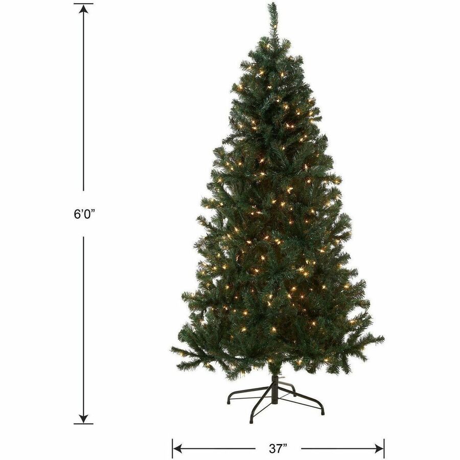 National Tree Acacia Pre-Lit Christmas Tree, 6 ft, Green, 300 Clear Lights, Includes 1 Tree with Sturdy Metal Stand