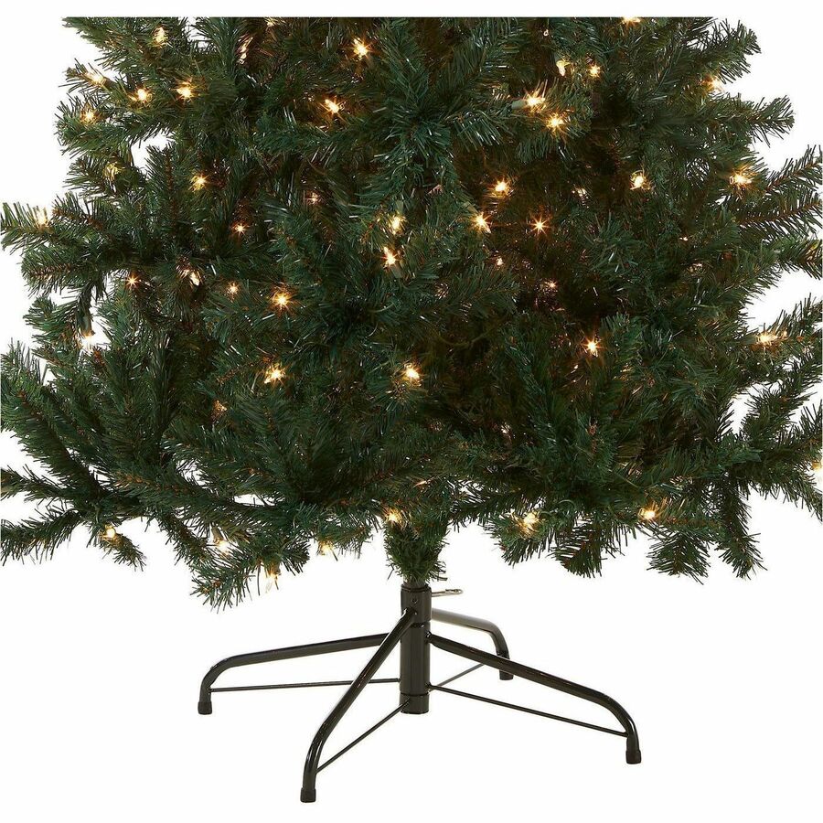 National Tree Acacia Pre-Lit Christmas Tree, 6 ft, Green, 300 Clear Lights, Includes 1 Tree with Sturdy Metal Stand