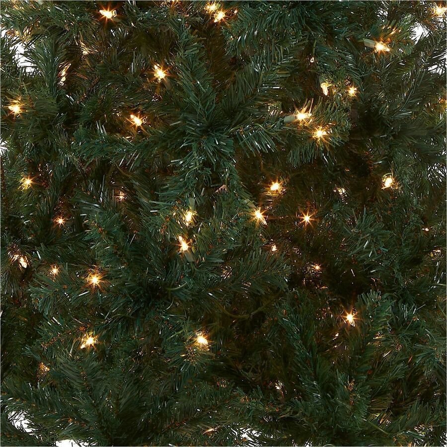 National Tree Acacia Pre-Lit Christmas Tree, 6 ft, Green, 300 Clear Lights, Includes 1 Tree with Sturdy Metal Stand