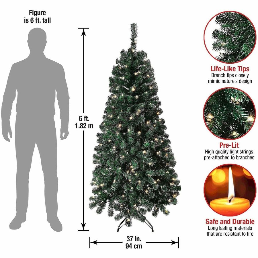 National Tree Acacia Pre-Lit Christmas Tree, 6 ft, Green, 300 Clear Lights, Includes 1 Tree with Sturdy Metal Stand