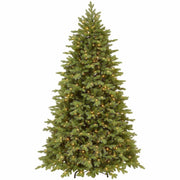 National Tree Princeton Fraser Fir Christmas Tree, 7.5 ft, Green, Pre-lit with 800 Dual-Color LED Lights, 1 Each