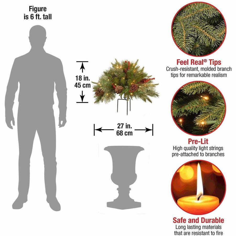 Fir - Urn1 Each