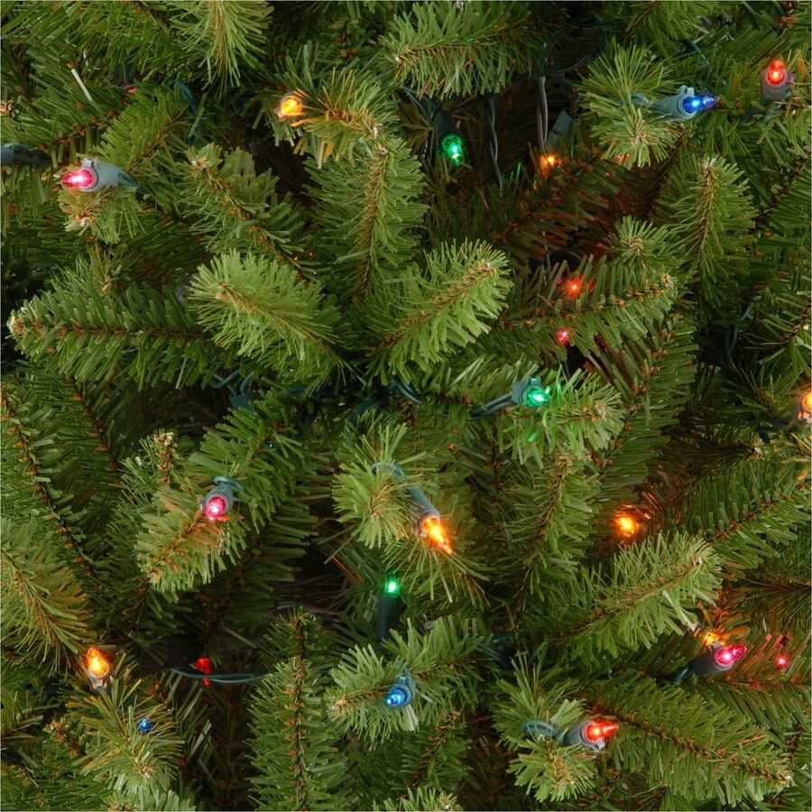 National Tree Kingswood Fir Slim Pencil Christmas Tree, 78" Height x 28" Width, Green with Multicolor LED Lights, Includes 1 Tree, Metal Stand, Spare Bulbs and Fuses