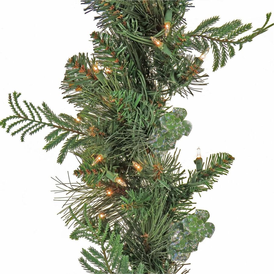 National Tree North Conway Garland, 9 ft, Green, 100 Warm White LED Lights, 1 Each