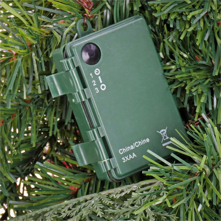 National Tree North Conway Garland, 9 ft, Green, 100 Warm White LED Lights, 1 Each