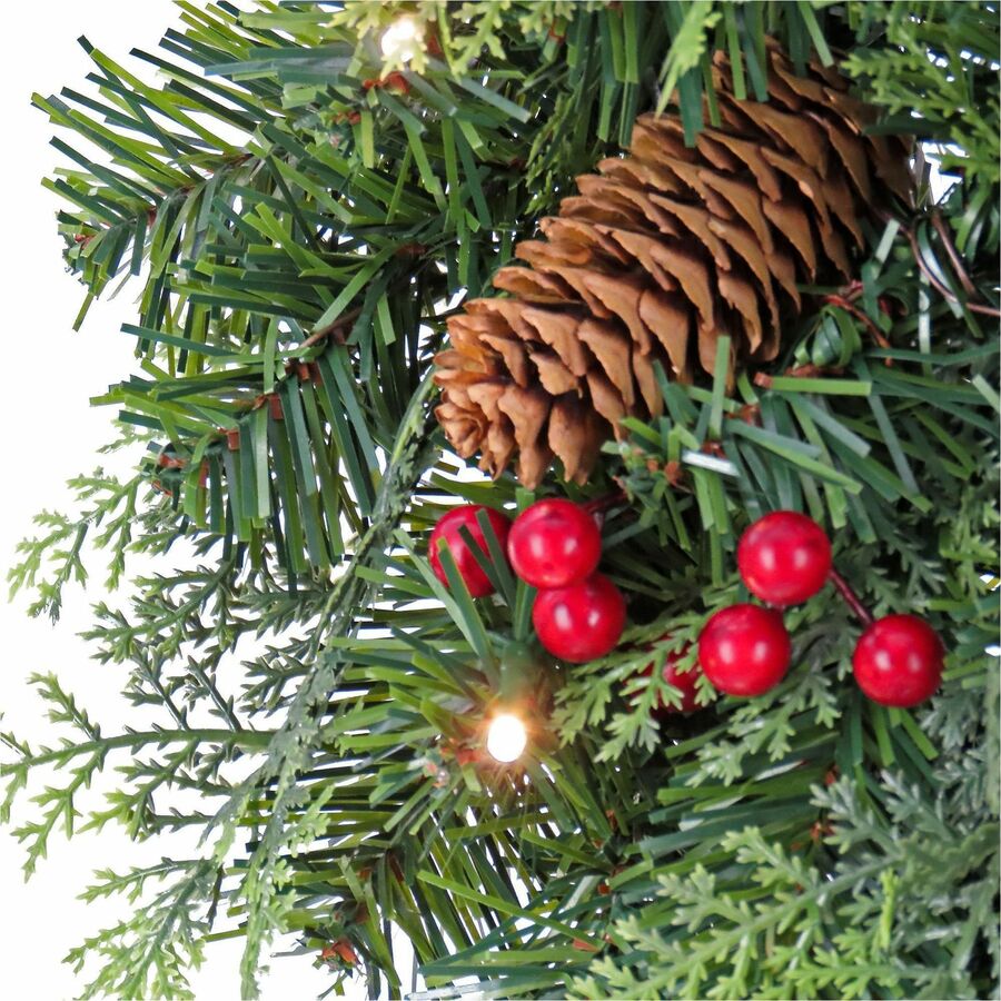 National Tree Holly Berry Wreath & Garland Set, Includes Two 9 ft Garlands with 50 LED Lights Each and One 24" Wreath with 20 LED Lights, Green, 1 Set