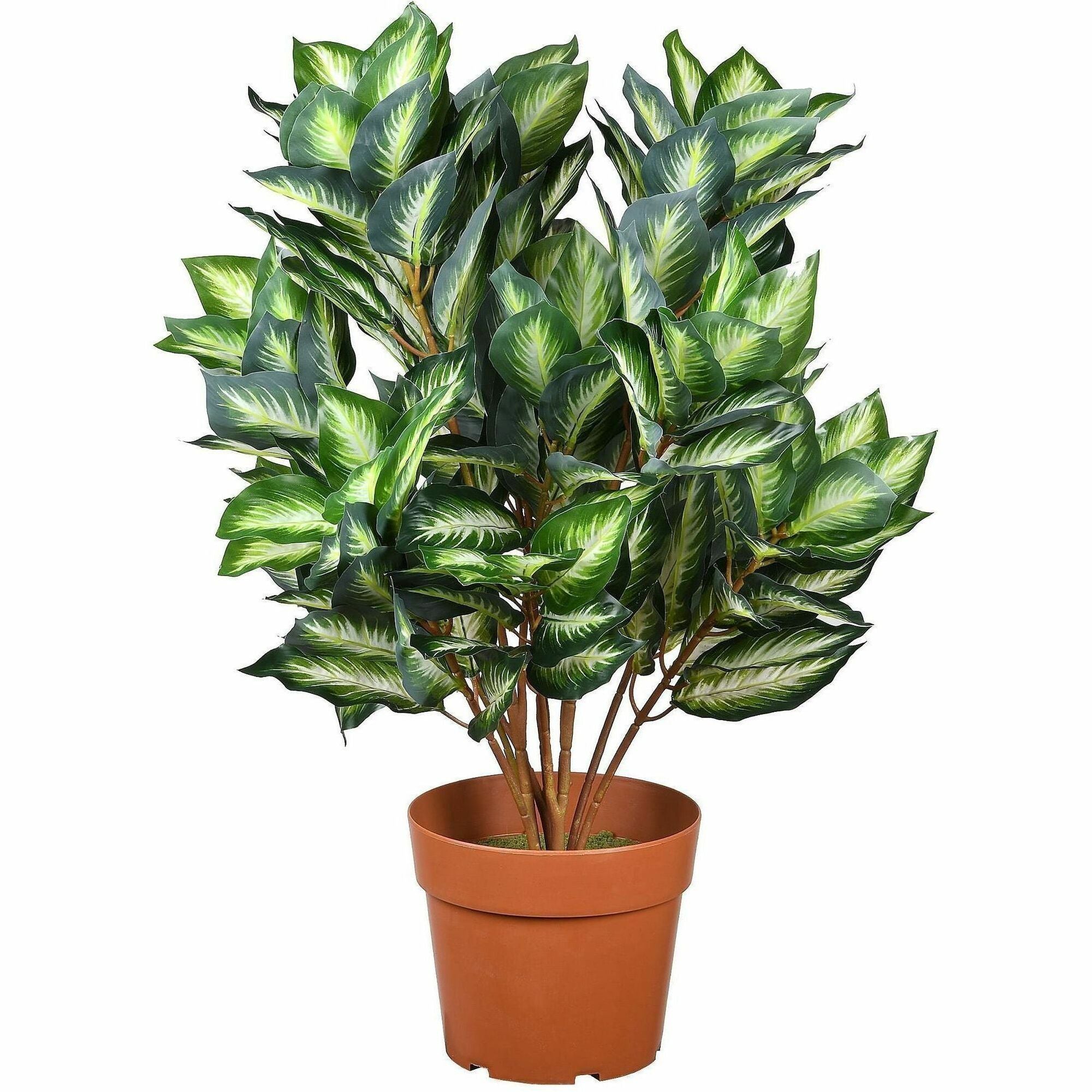 30" Tall - Hosta - Topiary - Pot1 Each
