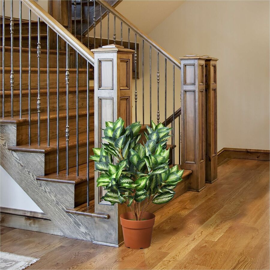 30" Tall - Hosta - Topiary - Pot1 Each