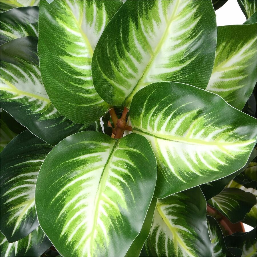 30" Tall - Hosta - Topiary - Pot1 Each
