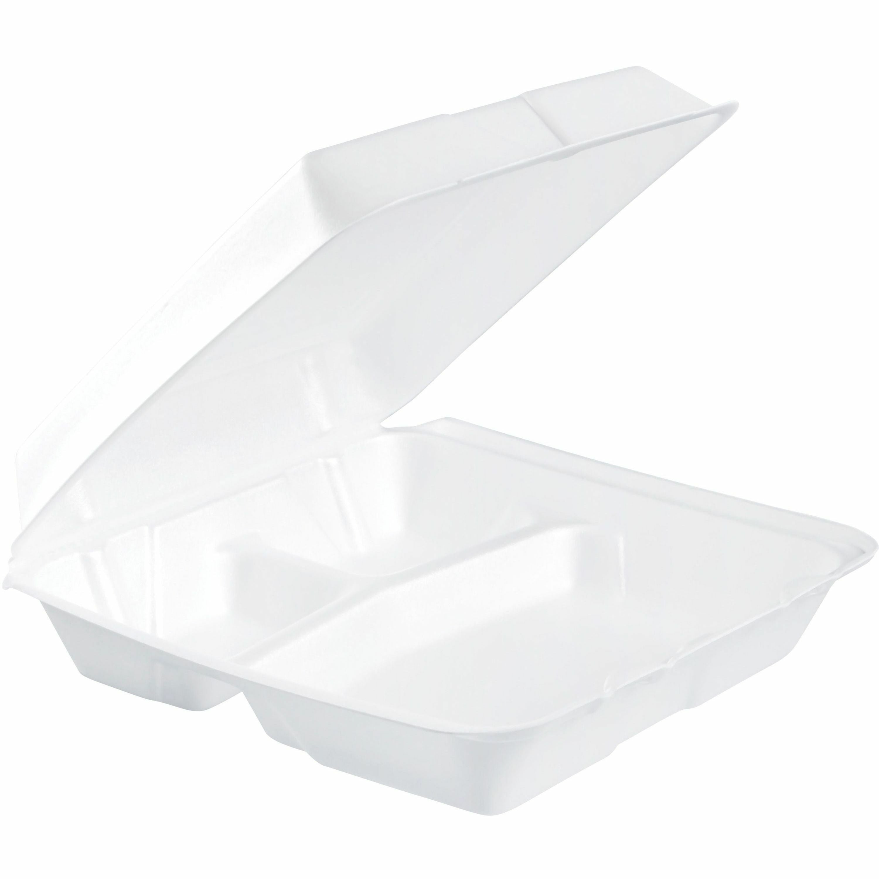 White - Foam Body - 100/Pack - 2 / Carton