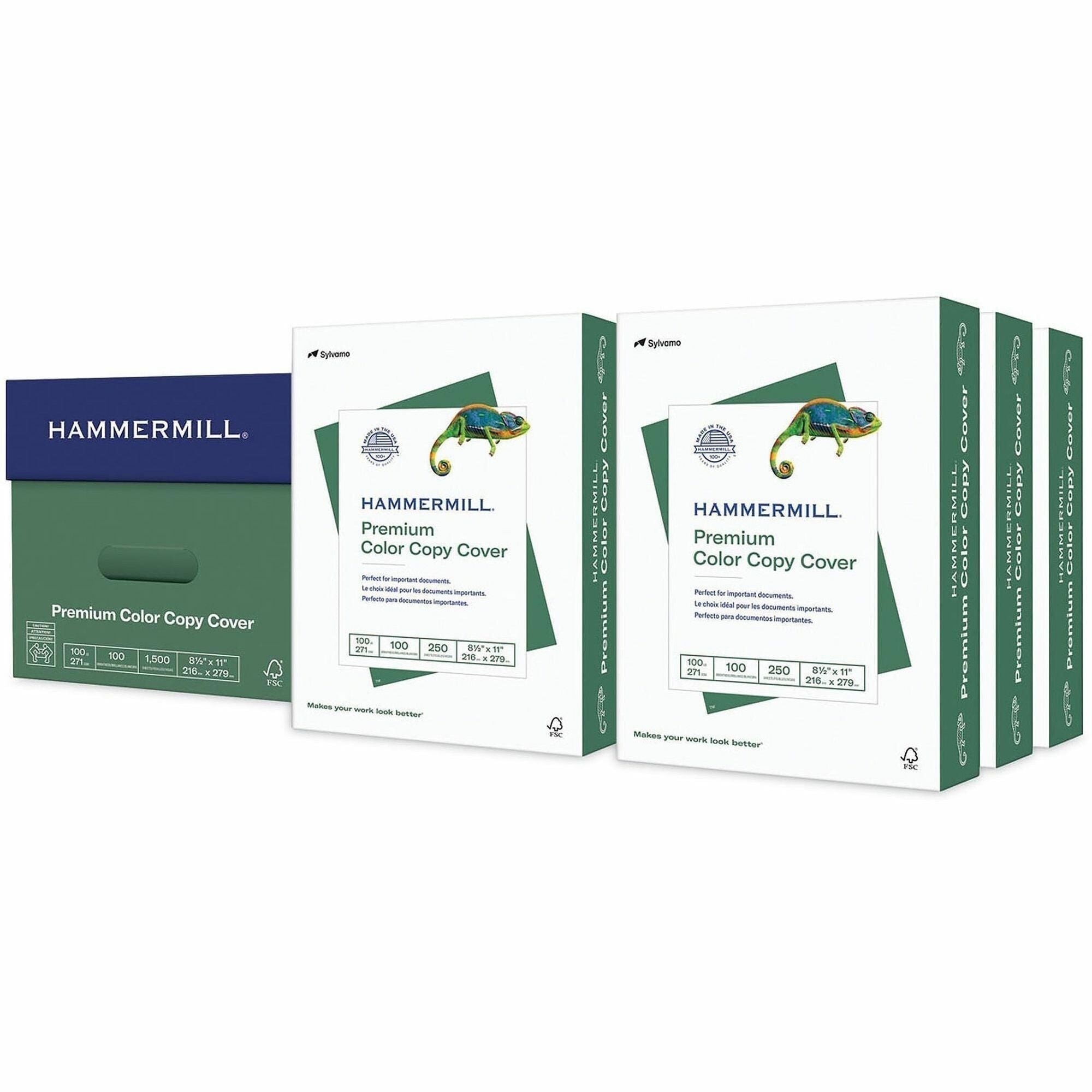 100 Brightness - 99% Opacity - Letter - 8 1/2" x 11" - 100 lb Basis Weight - 271 g/m² Grammage - Acid-free, Ultra Smooth, Heavyweight, Jam-free - White - 1500 / Carton
