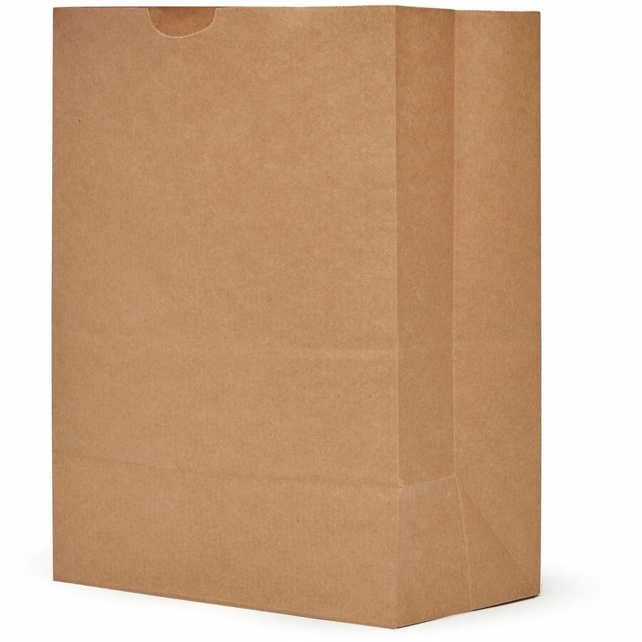 AJM Paper Grocery Bags, Natural Kraft, 5.25 Gallon Capacity, Paper, 500 per Carton