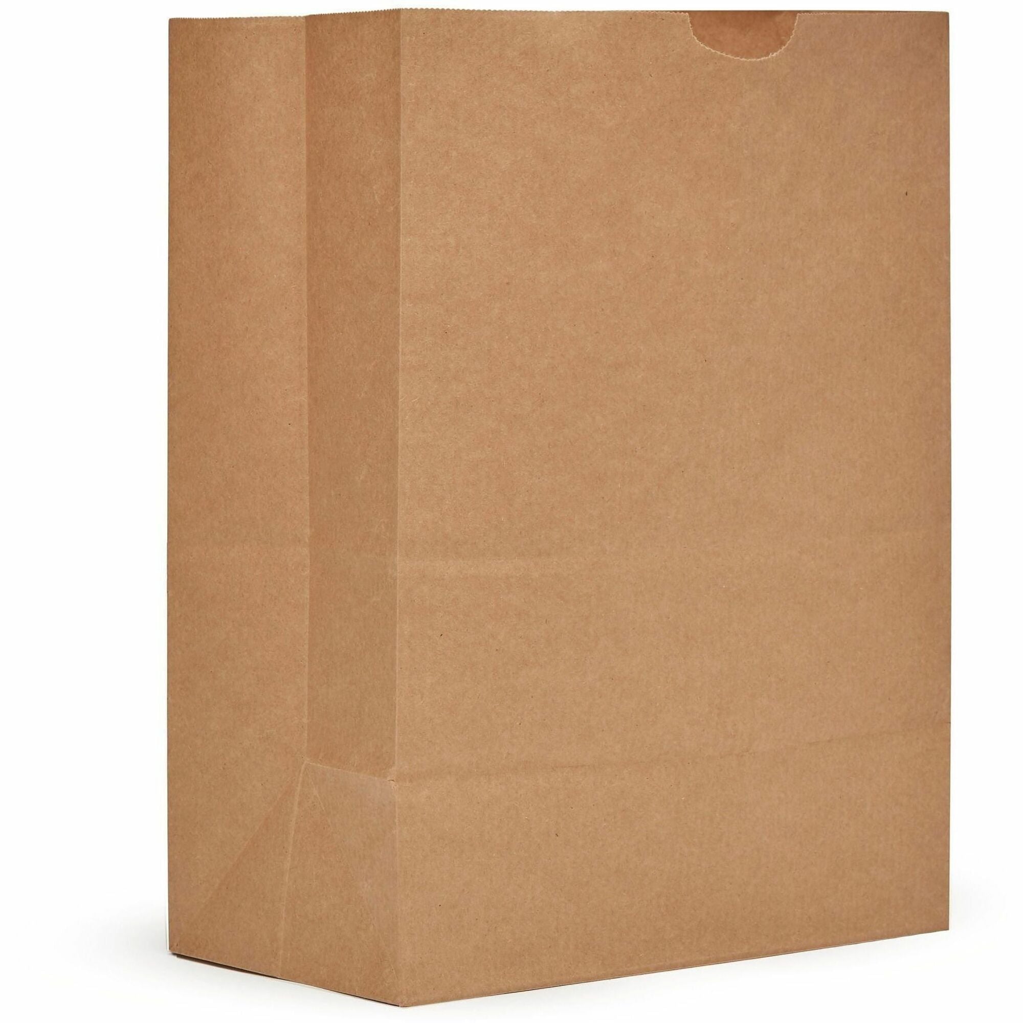 AJM Paper Grocery Bags, Natural Kraft, 5.25 Gallon Capacity, Paper, 500 per Carton