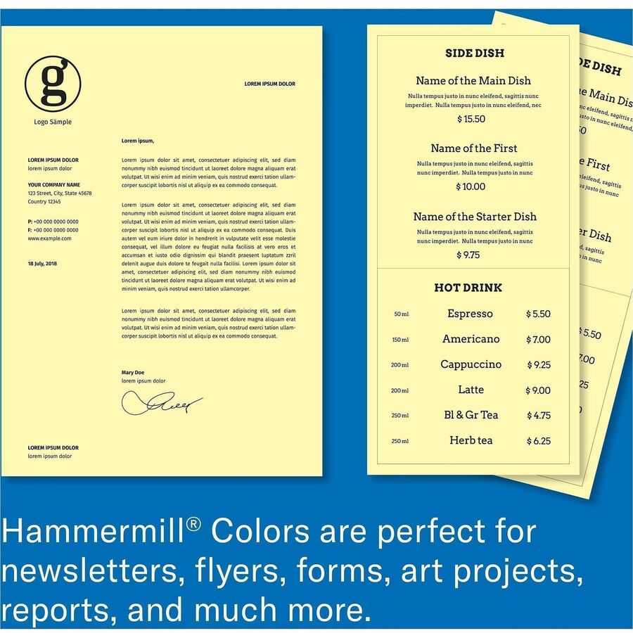 Hammermill 24lb Color Paper