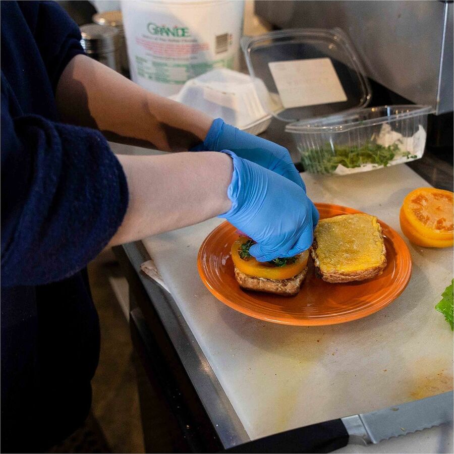 Ammex Nitrile Powder-Free Exam Gloves