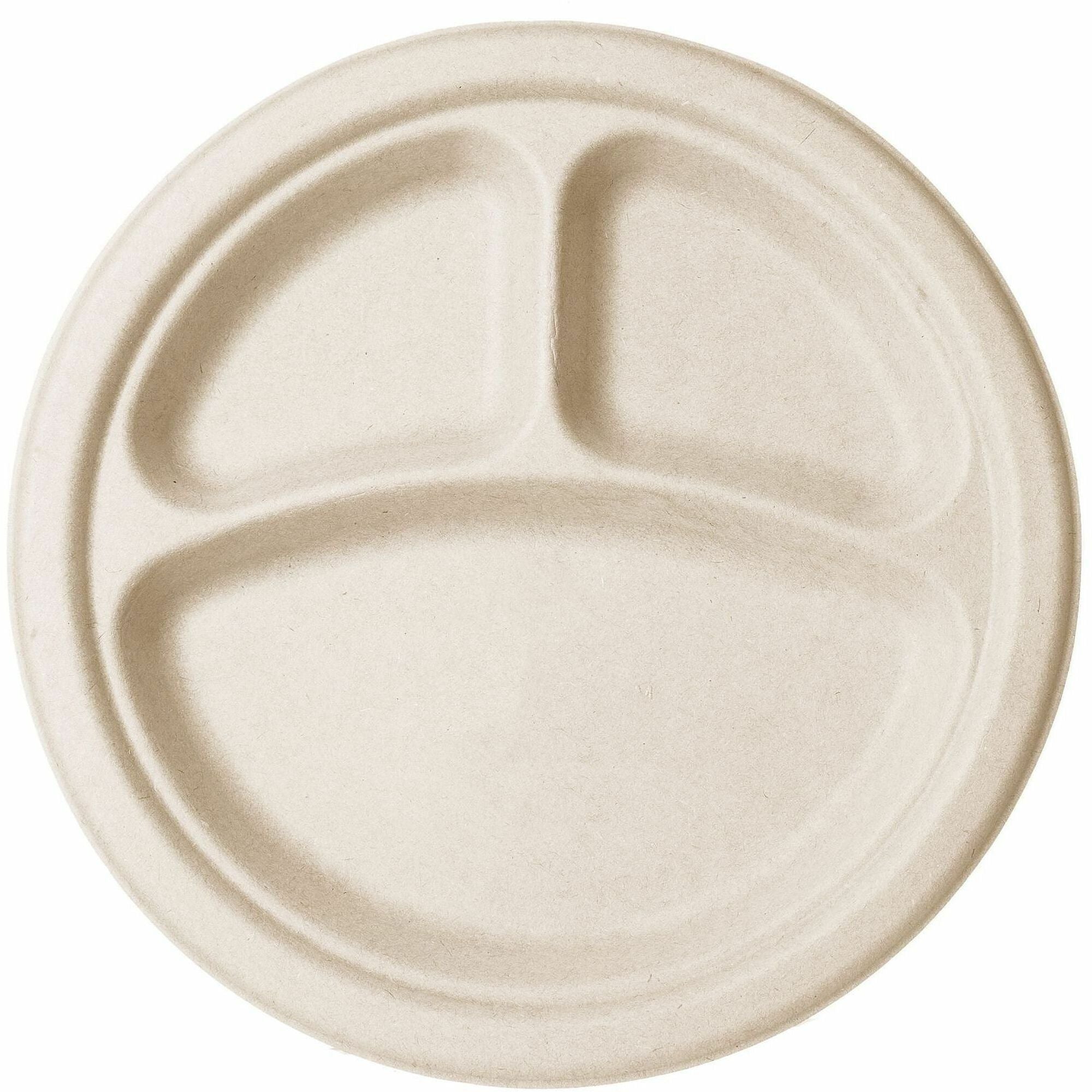 Plate;Nat Fbr;13";3C;500Ct