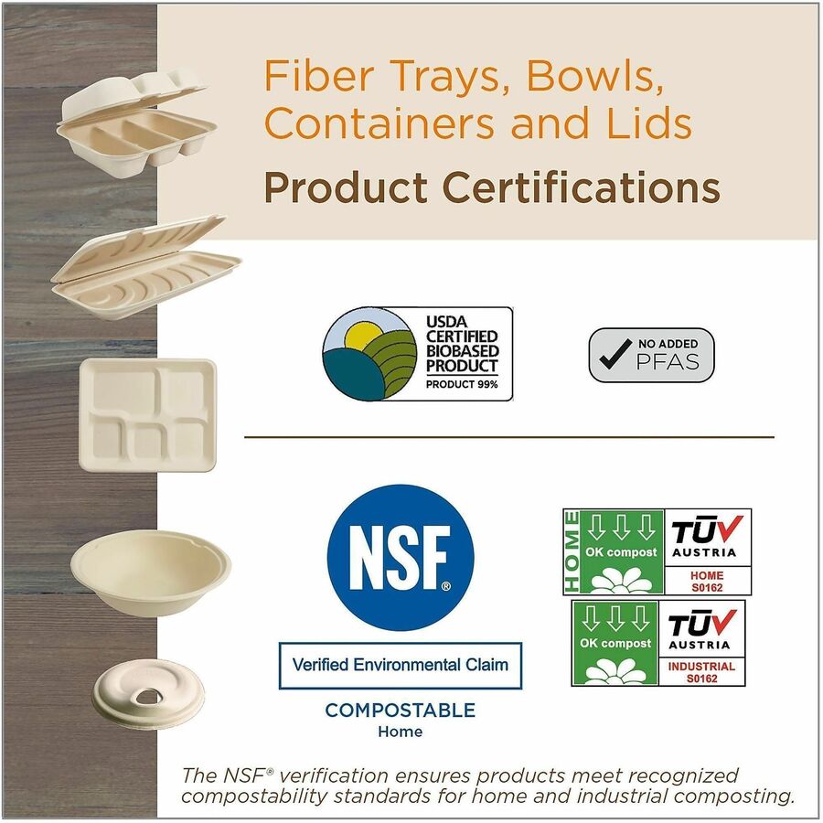 World Centric Compostable Fiber Plate