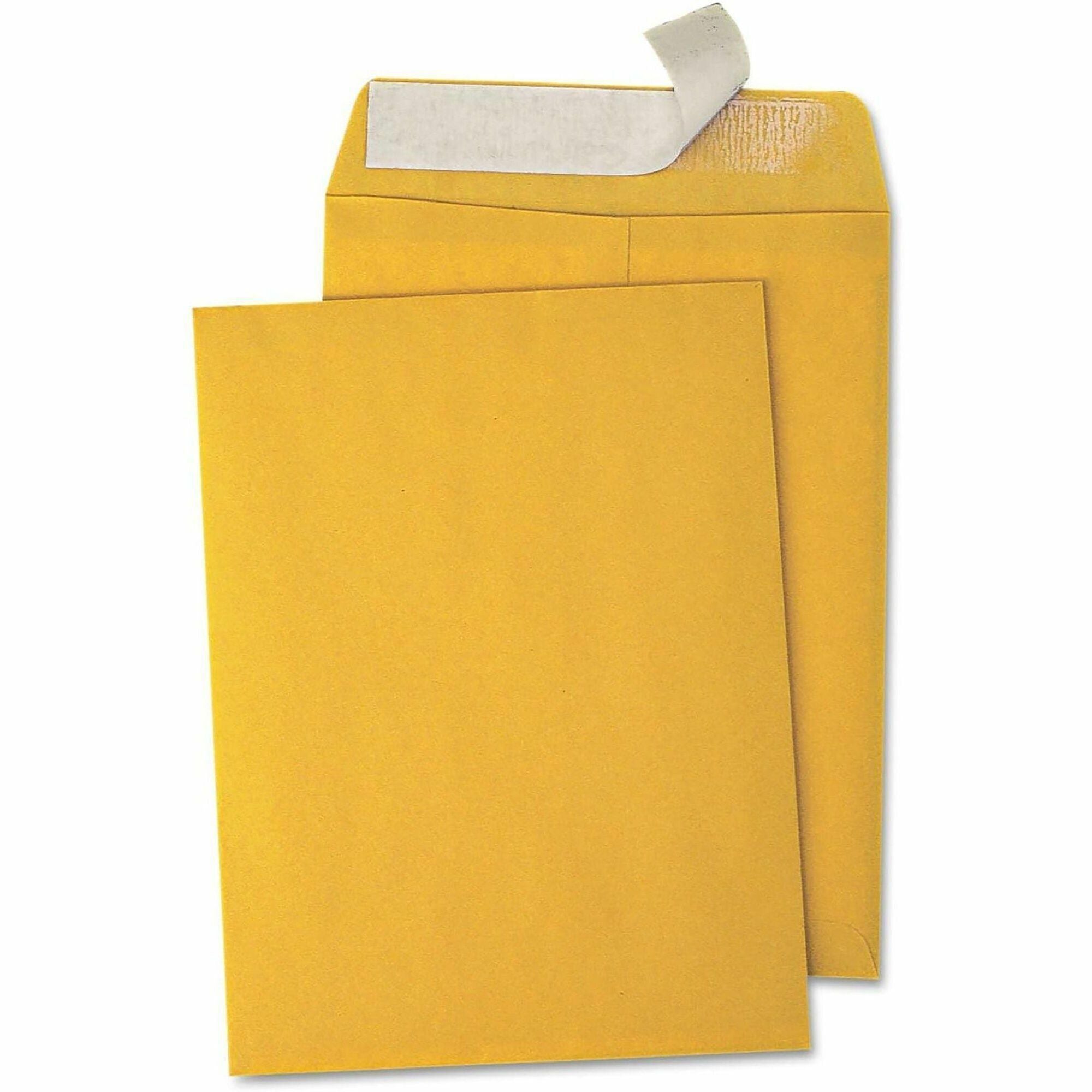 Envelope;Cat;9X12;Bn;Ps