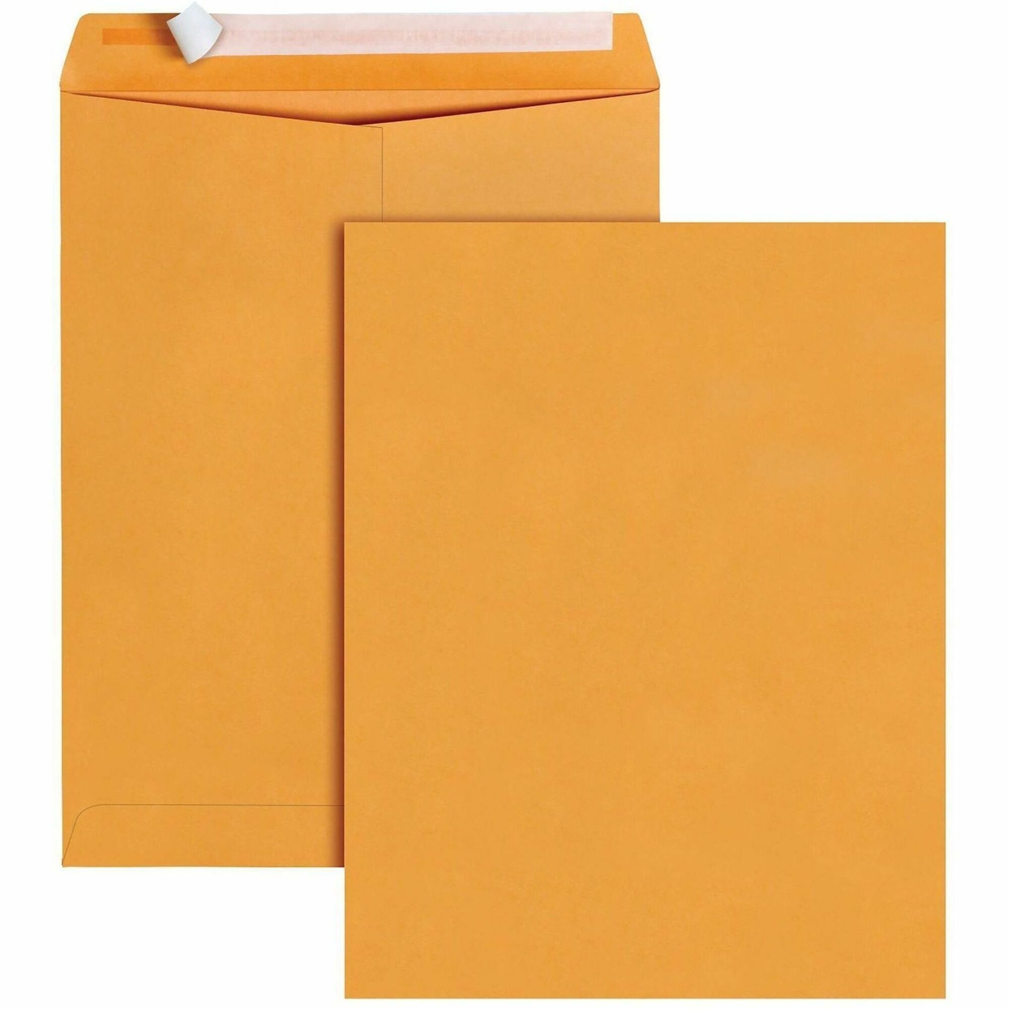 Envelope;Cat;10X13;Bn;Ps