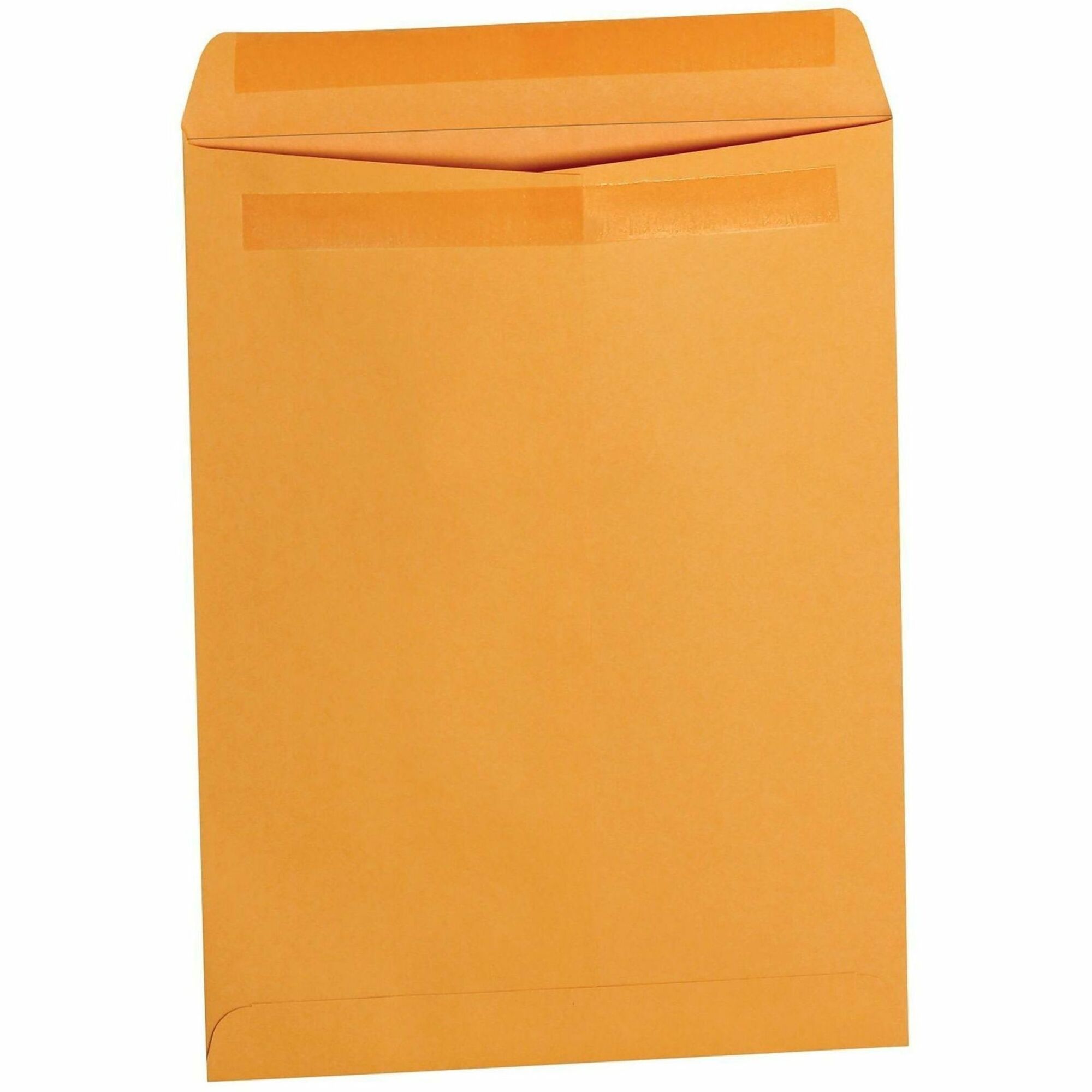 Envelope;Cat;9X12;28#