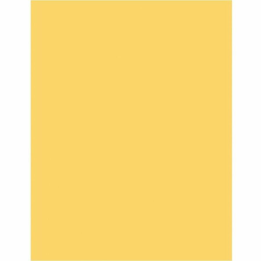 Business Source Multipurpose Color Paper