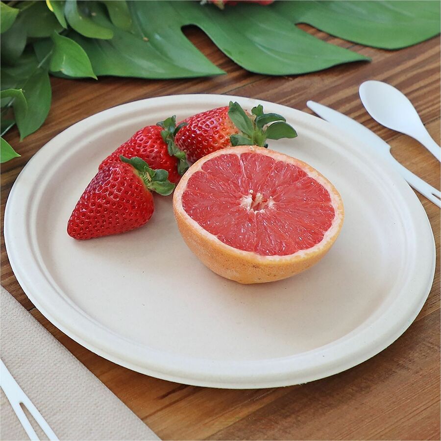 PLATE;FBR;10";NTRL;20PK
