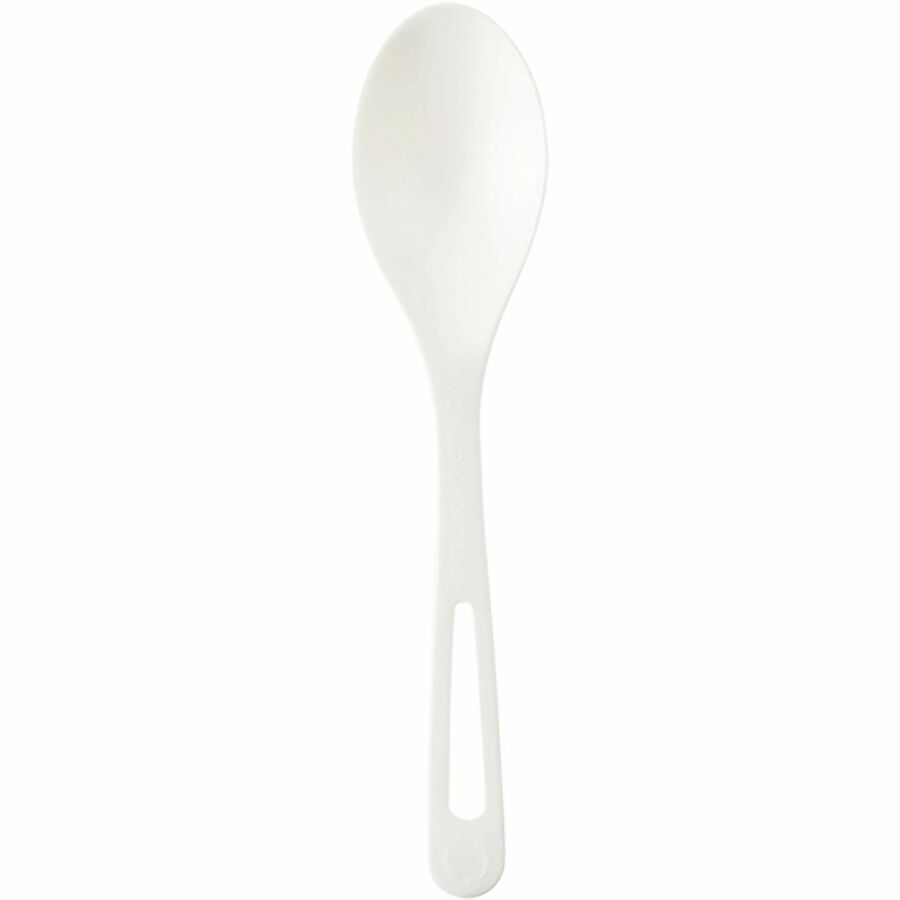 SPOONS; 6";LT BGE;24PK