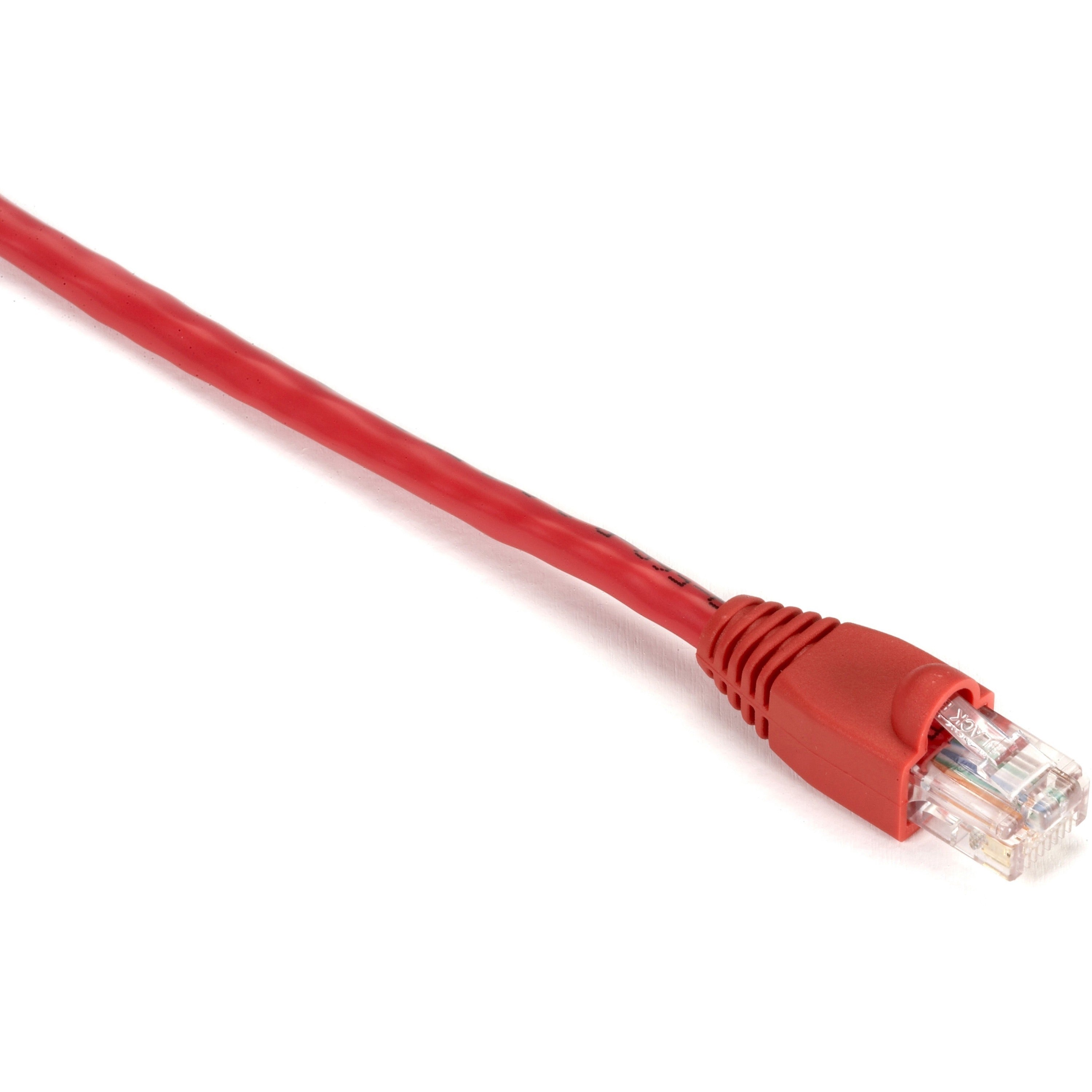 Black Box GigaBase Cat.5e UTP Patch Network Cable, 1 ft, RJ-45 Male/Male, 24 AWG, Gold Plated Contacts, Snagless Boot, Red, 1 Each