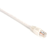 Black Box GigaBase Cat.5e UTP Patch Network Cable, 1 ft, RJ-45 Male/Male, 24 AWG, Gold Plated Contacts, Snagless Boot, White, 1 Each