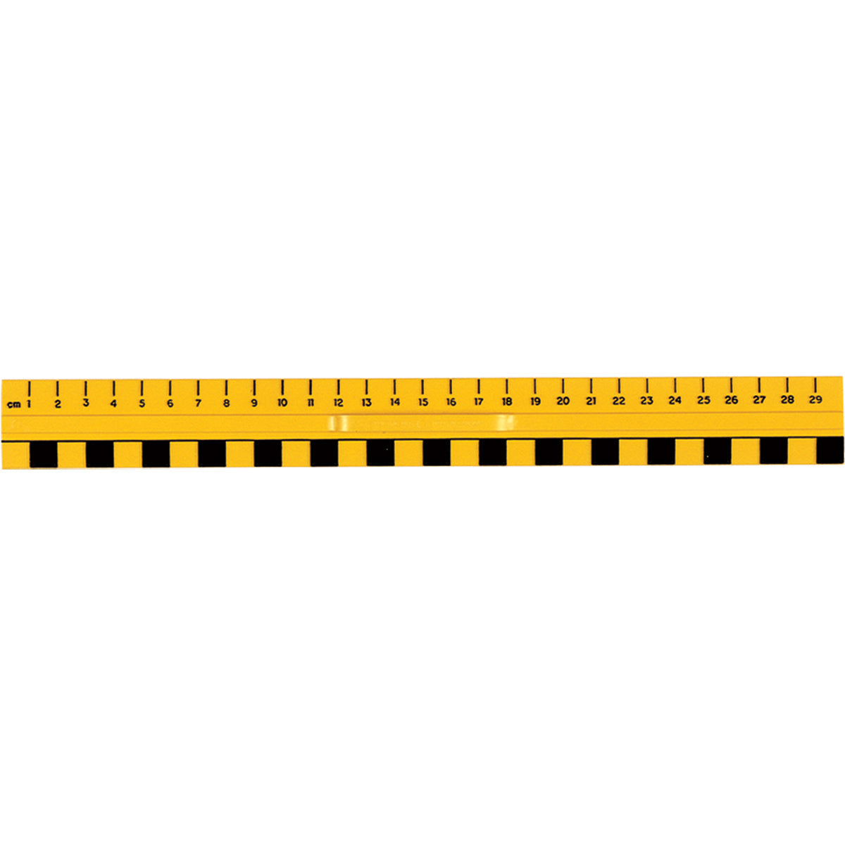 Primary Ruler