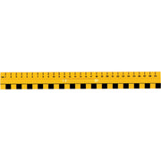 Primary Ruler