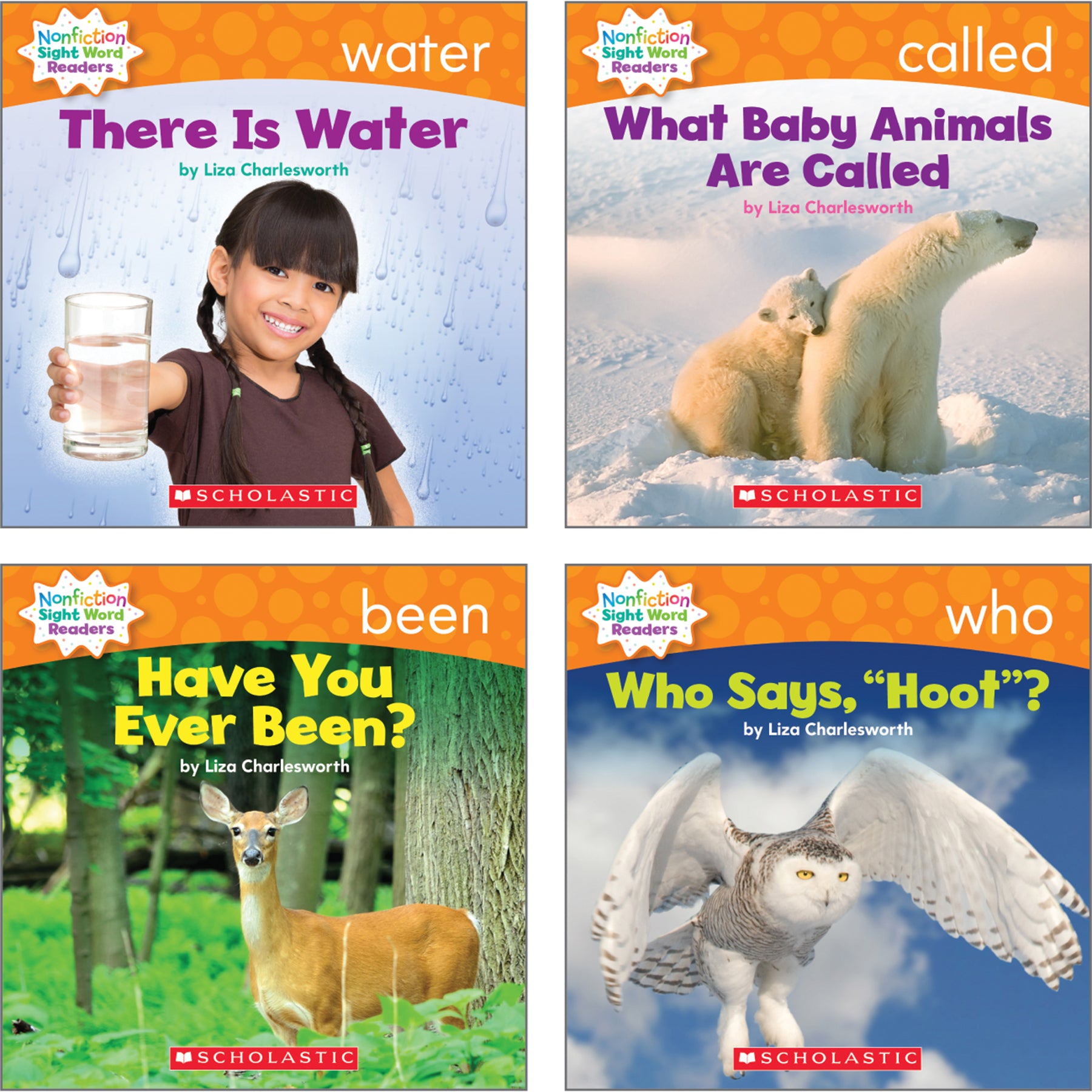 Nonfiction Sight Word Readers Classroom Tub, Level D, 6 Copies of 25 Titles
