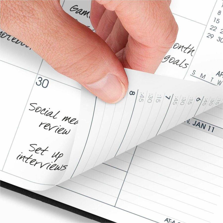 At-A-Glance Triple View Appointment Book